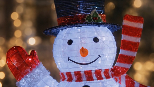Amazon.com: JOIEDOMI 3 Pcs 3D Christmas Collapsible Snowman Yard